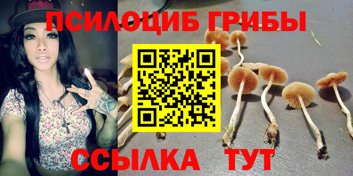 Галлюциногенные грибы прущие грибы Бутурлиновка